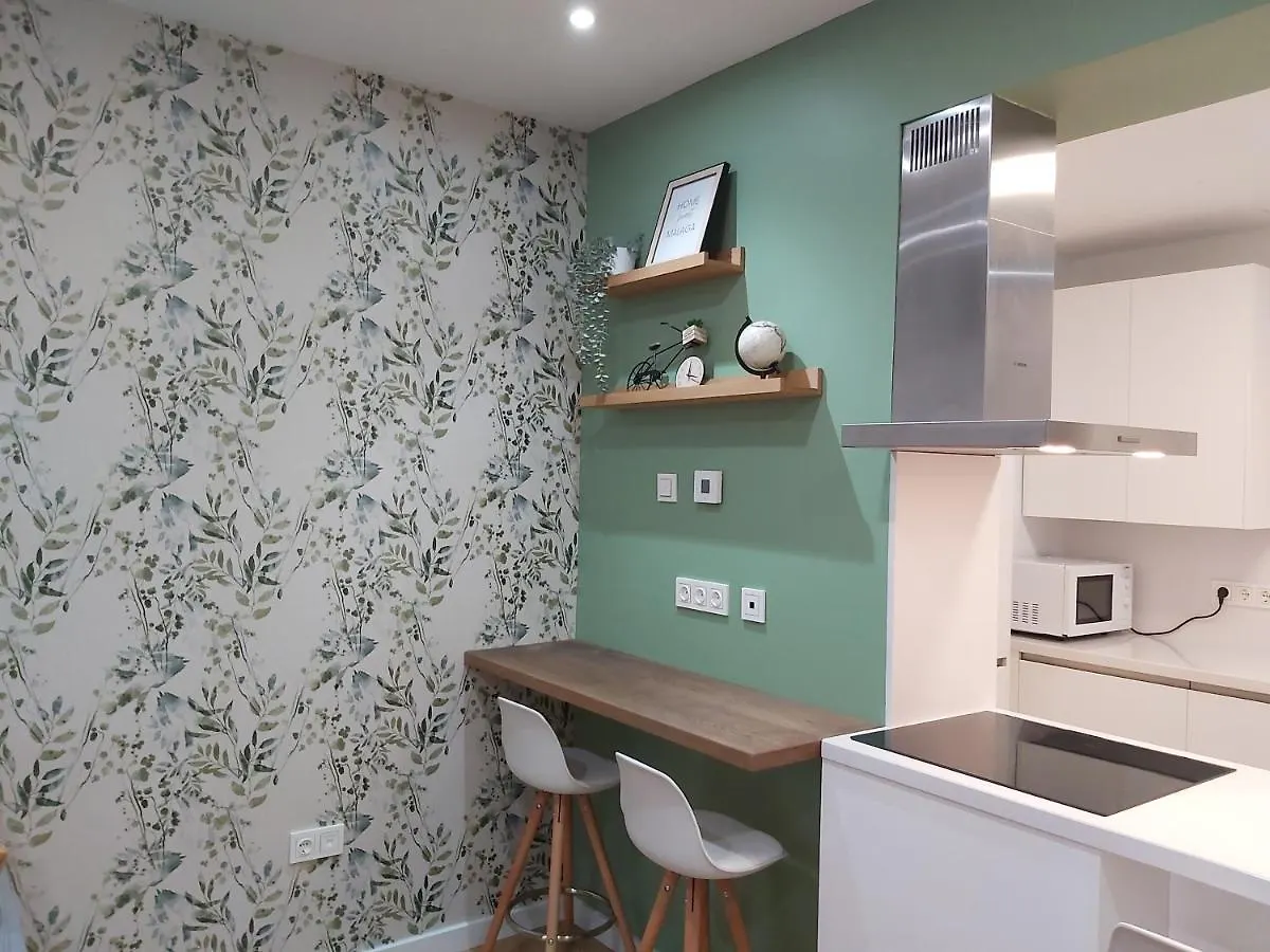 Del Parque Flats Teatro Plaza Premium Apartment Malaga 0*,  Spain
